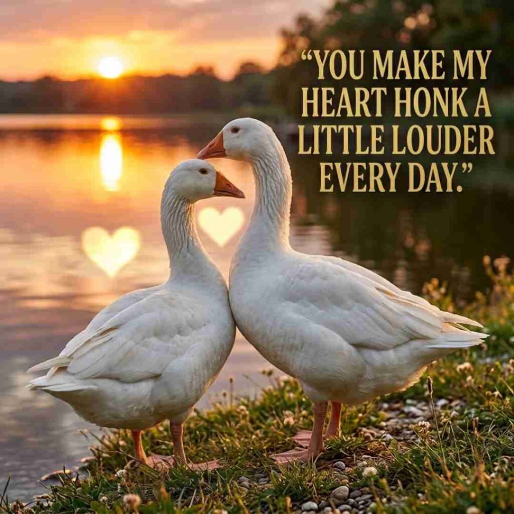Romantic goose puns image featuring two geese by a sunset lake with the quote You make my heart honk a little louder every day, ideal for love notes, pickup lines, and romantic goose humour.