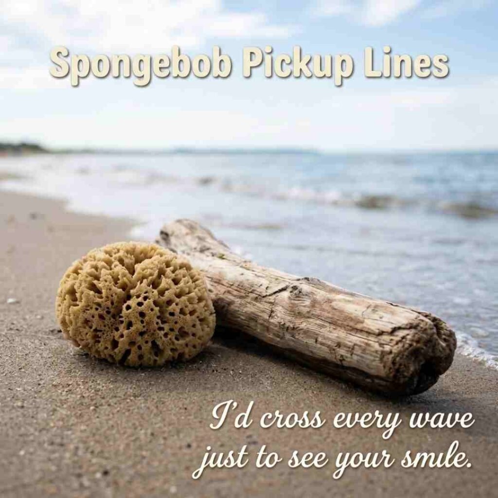 Spongebob Pickup Lines displayed beside a sea sponge on a quiet beach shoreline.