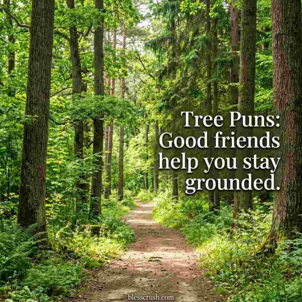 Tree Puns friendship quote displayed along a forest trail surrounded by towering trees and lush greenery.