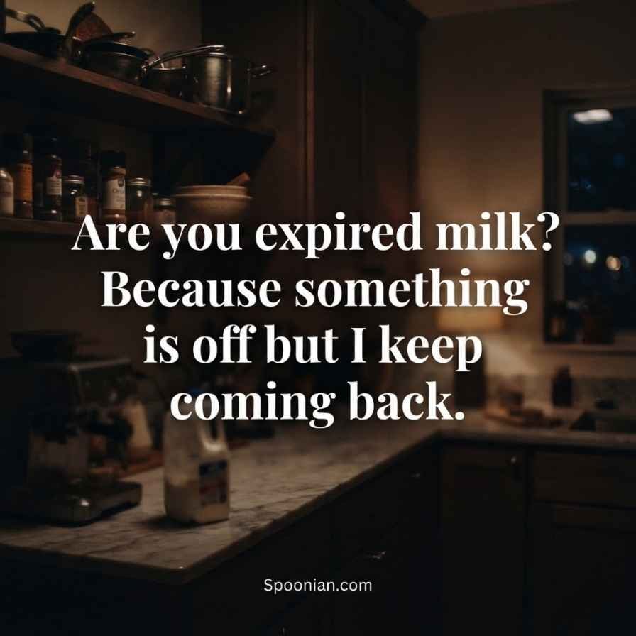 Funny gross rizz line quote over dark moody kitchen background by Spoonian.com